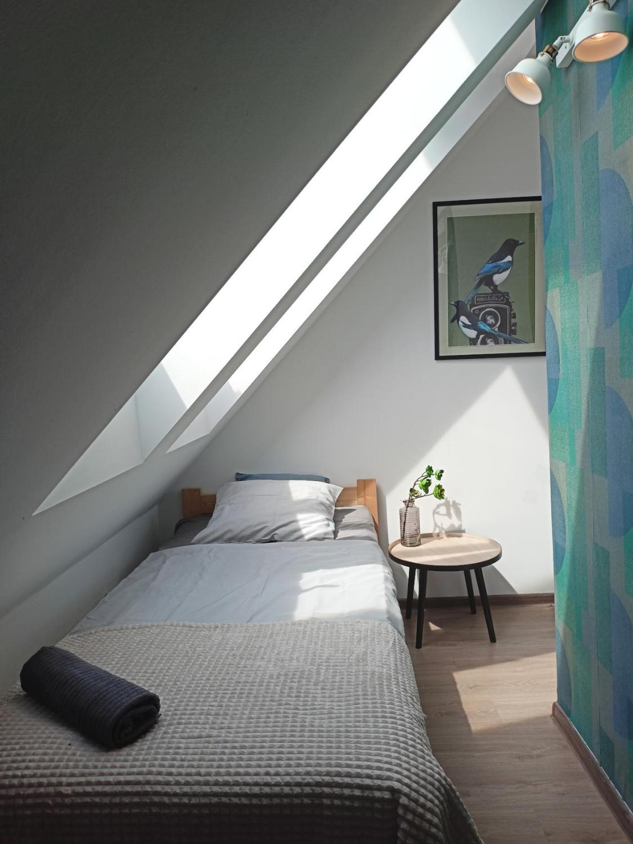 Lemuria Pokoje Hostel Chojnowska A Legnica Bagian luar foto