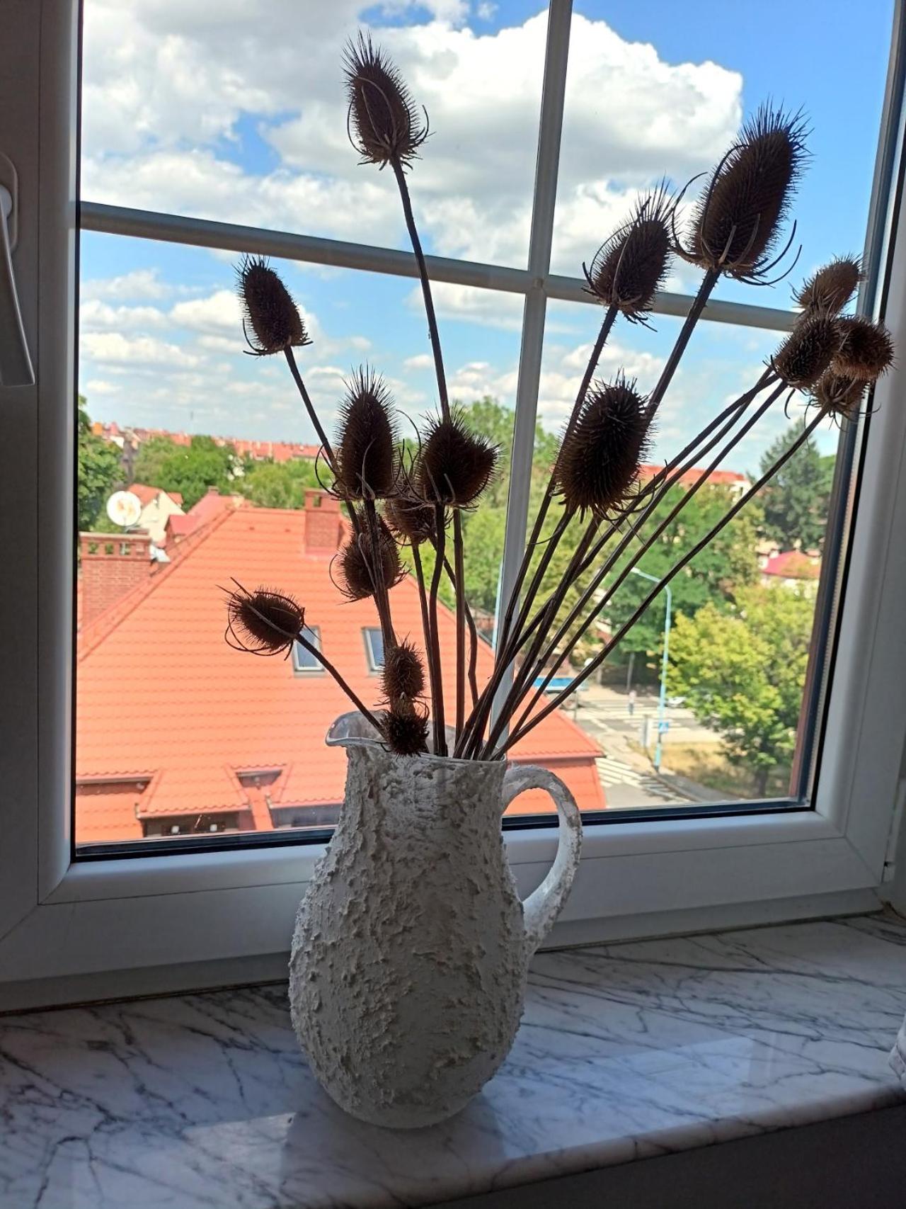 Lemuria Pokoje Hostel Chojnowska A Legnica Bagian luar foto
